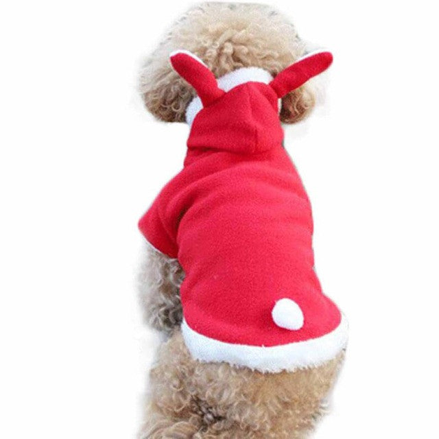 Dog's Cosy Rabbit Hoodie Clothes - starry shibe