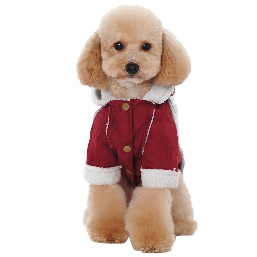 Dog's Fancy Winter Coat and Jacket Clothes - starry shibe