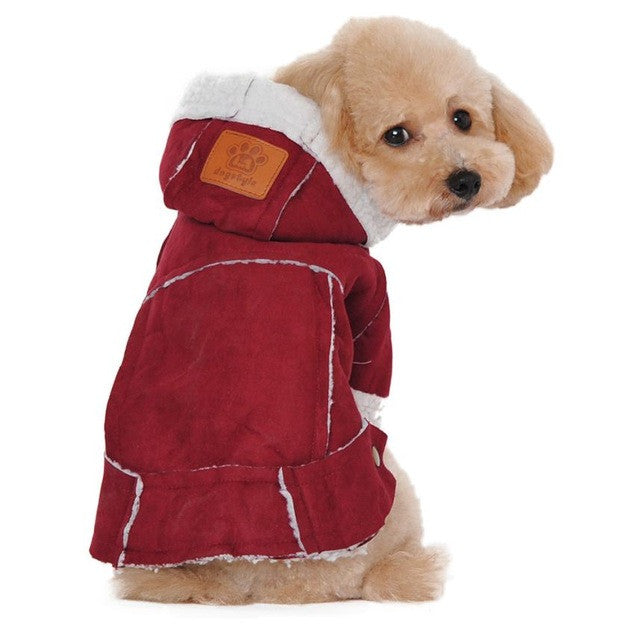 Dog's Fancy Winter Coat and Jacket Clothes - starry shibe