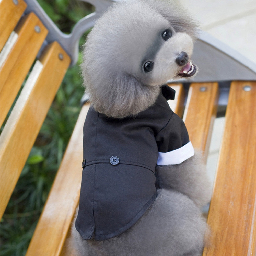Dog's Tuxedo Wedding Suit Clothes - starry shibe