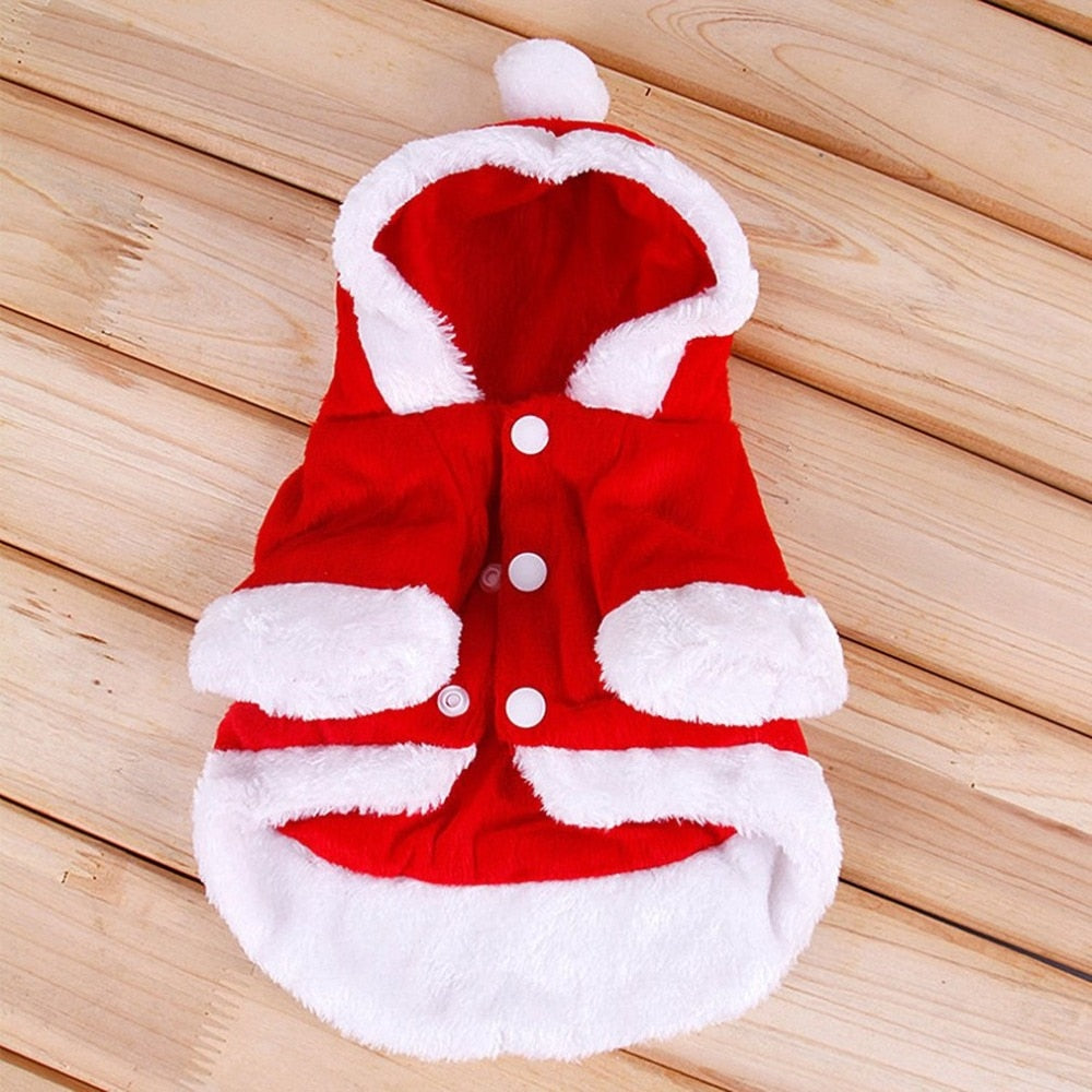 Santa Dog Costume for Christmas - starry shibe