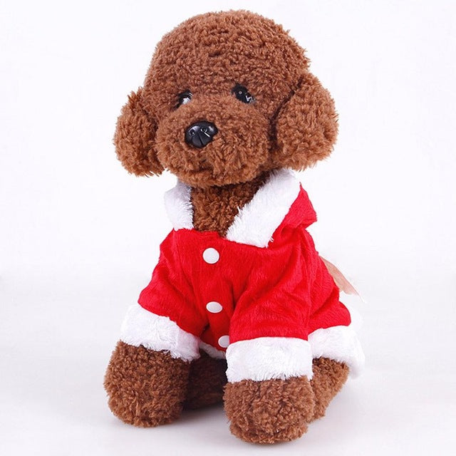 Santa Dog Costume for Christmas - starry shibe